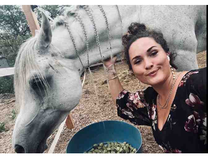 7-Night 3 Bedroom Oahu Oceanview Home + Horse Back Riding Experience - Photo 2