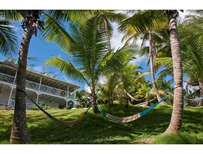 7-Night Stay at Eco Lifestyle Lodge in Barbados - Photo 1