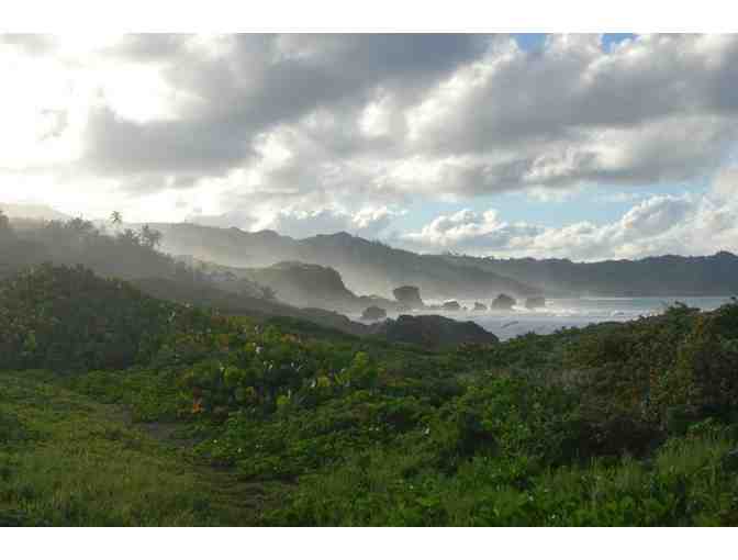 7-Night Stay at Eco Lifestyle Lodge in Barbados - Photo 10