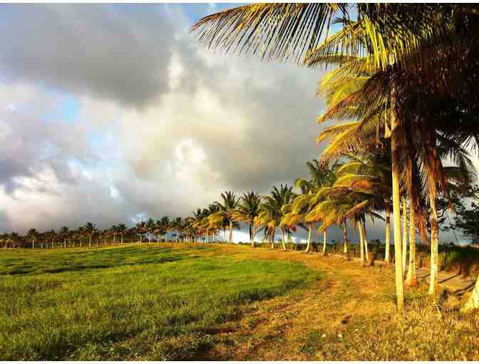 7-Night Stay at Eco Lifestyle Lodge in Barbados - Photo 11