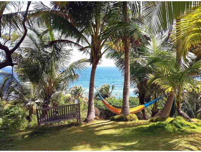 7-Night Stay at Eco Lifestyle Lodge in Barbados - Photo 13