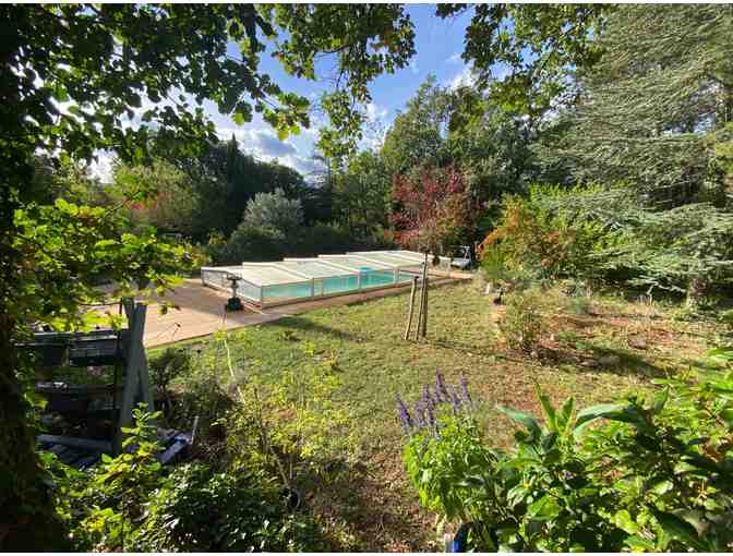 Provence Uncorked: A 7-Night Vineyard Retreat for 12 in the Heart of France