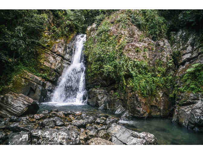 Wonderments of Puerto Rico