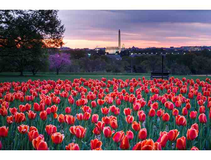 2-Night Stay + DC Monuments Bike Tour