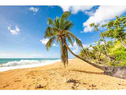 Luxury Villa at the Famous Dorado Beach