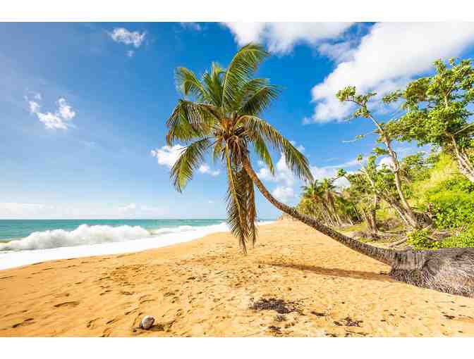 Luxury Villa at the Famous Dorado Beach