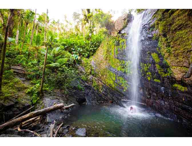 4 Nights in Puerto Rico + Rainforest Tour - Photo 5