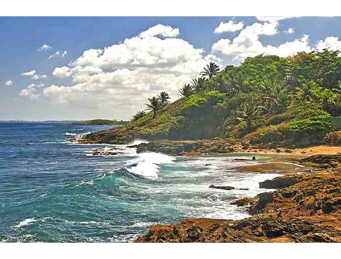 Golf Resort Getaway! Puerto Rico or Hawaii - Photo 3