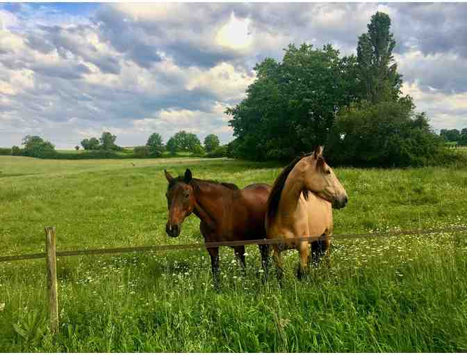 Four Nights In French B&B