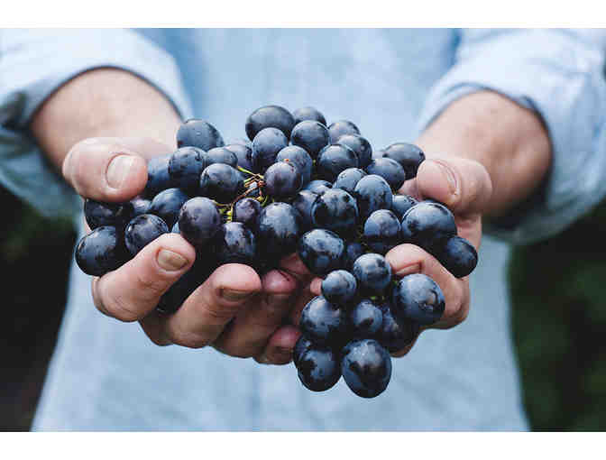 NAPA VALLEY RAIL AND SKY
