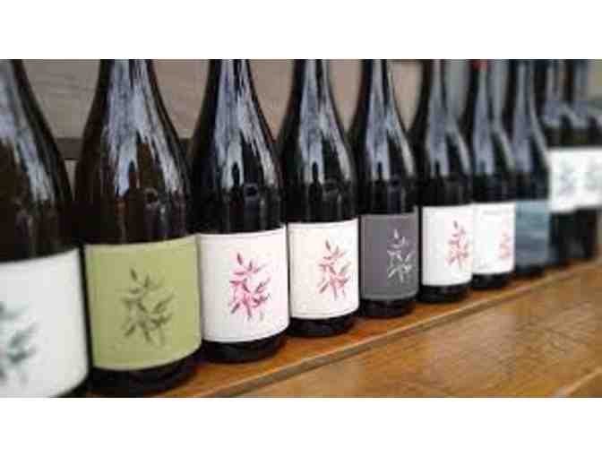 Arnot-Roberts, Cabernet Sauvignon 2022 Sonoma County 1.5L Magnum - Photo 2