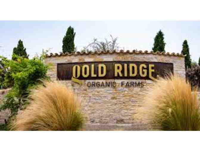 Organic Olive Oil Tasting Exploration & Farm Tour for Four - Photo 2