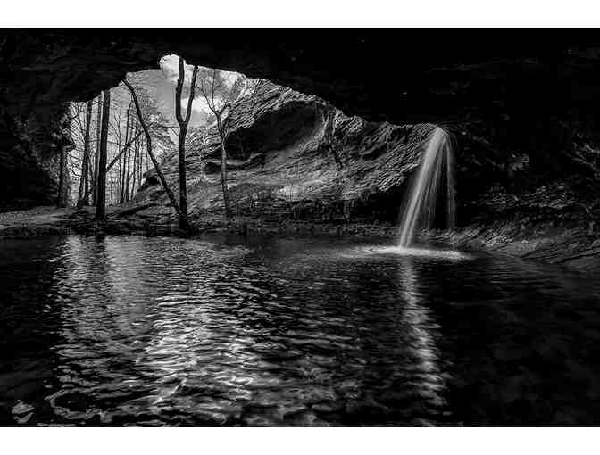 Arkansas Nature in Black and White