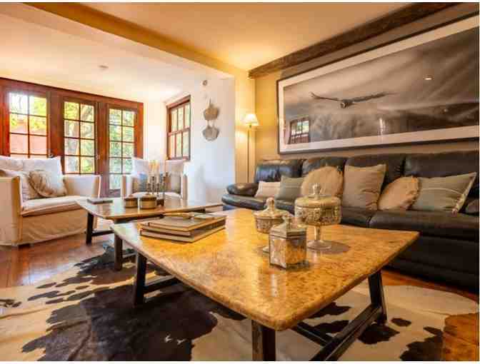 4-Man Argentina Dove Hunt