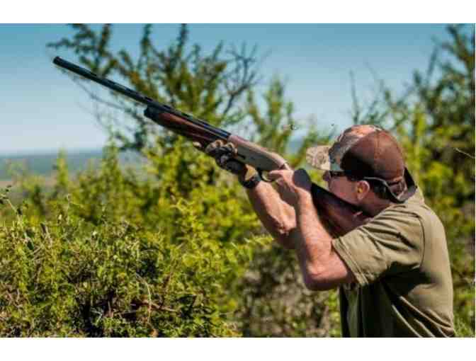 4-Man Argentina Dove Hunt