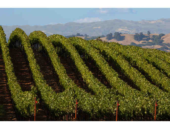 Luxurious Getaway in Sonoma County