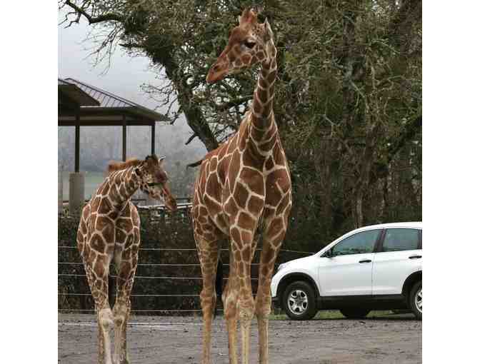 Four Passes to Wildlife Safari - Photo 1