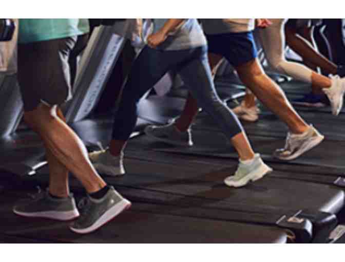 10 Classes at Orangetheory Fitness