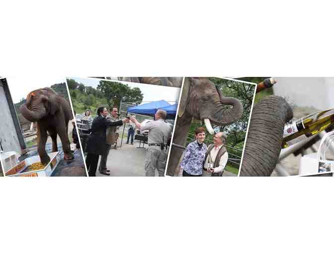 Two Admission Passes to Wildlife Safari