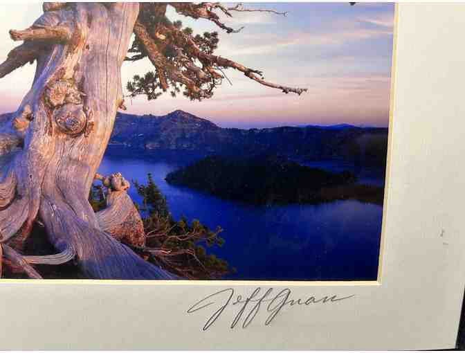 Gnarled Whitebark Pine Photo Signed by Jeff Gnass