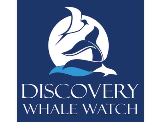 Adventures in Monterey!