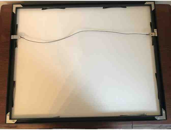 Framed Print Wildlife Photograph