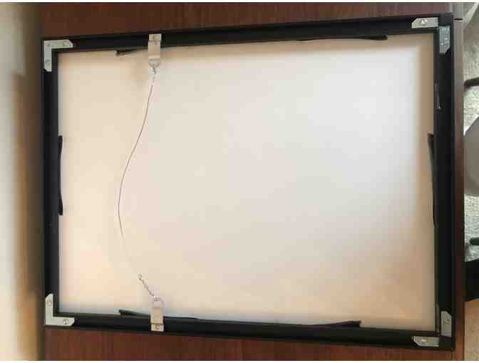 Framed Print Wildlife Photograph