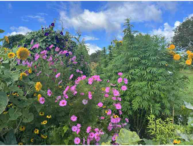 $150 Gift Card to Lunaria Estate