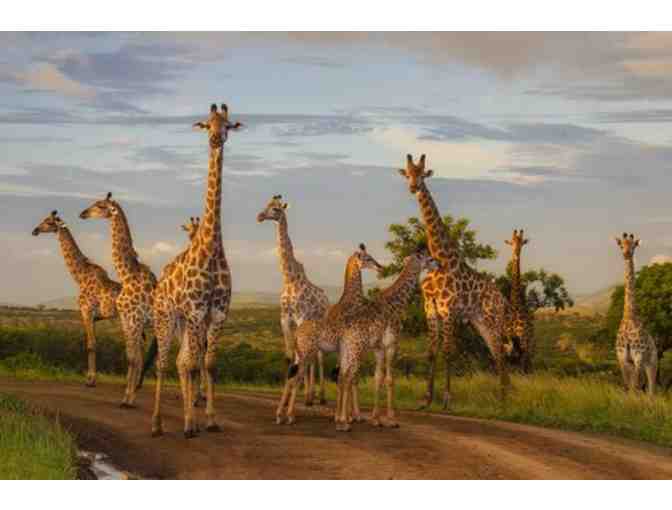 African Photo Safari for 2 - Photo 2