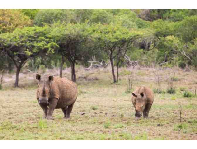 African Photo Safari for 2 - Photo 4