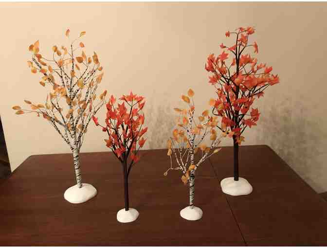 Village Autumn Maple & Birch Trees