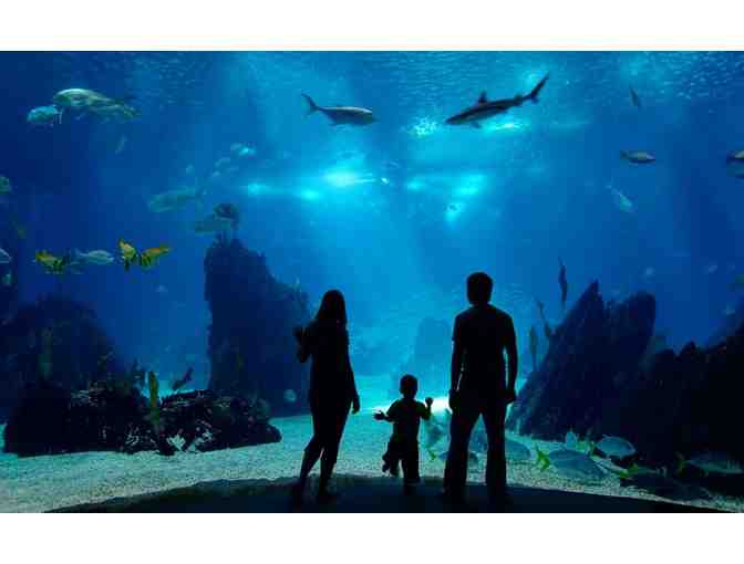 Two tickets to the Aquarium of the Pacific