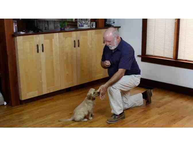 Raise with Praise Dog Training Session with Professional Dog Trainer Paul Owens