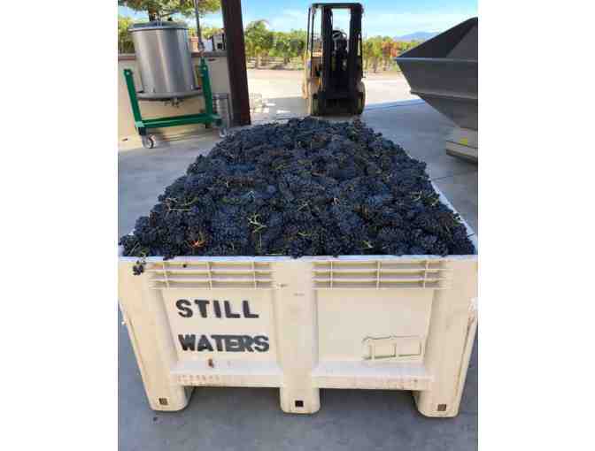 Vineyard Tour and Tasting for Two at Still Waters Vineyards