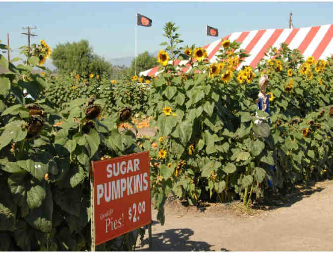 Family Season Pass to Underwood Family Farms in Moorpark, CA