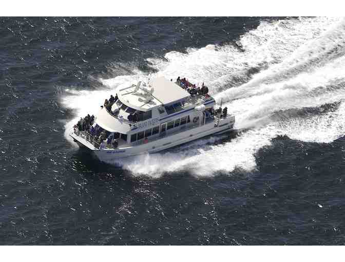 Excursion Day Pass for 2 Adults to Anacapa or Santa Cruz by Island Packers