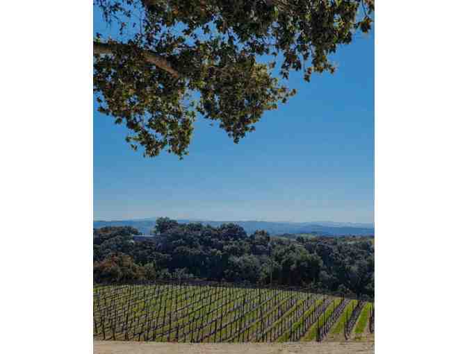 Vineyard Tour and Wine Tasting for Four at Hoyt Family Vineyards