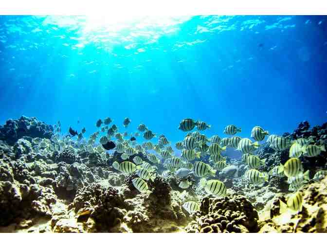 $200 Gift Certificate from Trilogy Excursions