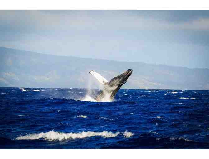 $200 Gift Certificate from Trilogy Excursions