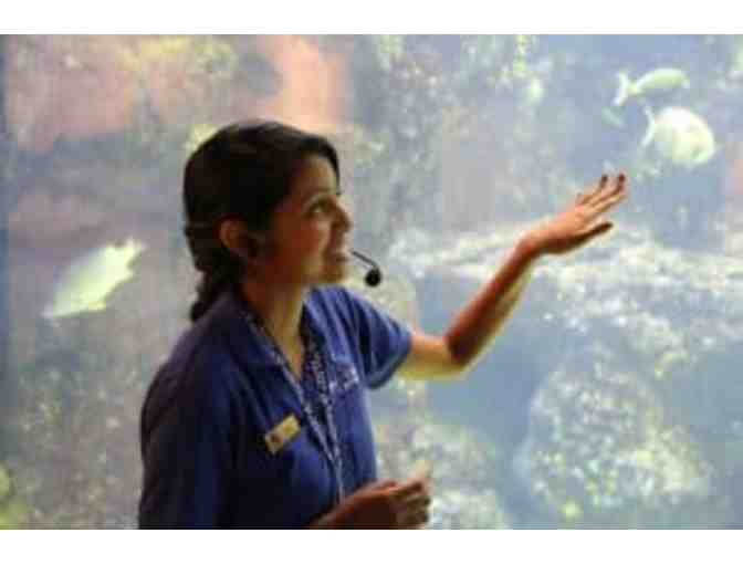 Family Annual Membership to Maui Ocean Center