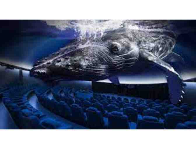 Family Annual Membership to Maui Ocean Center