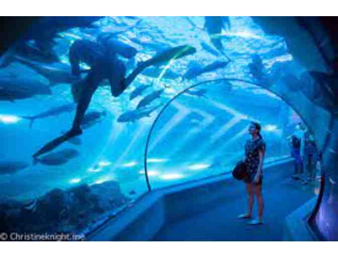 Family Annual Membership to Maui Ocean Center