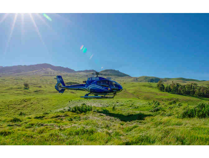 Two (2) Seats on Maui and Molokai Spectacular Tour - Blue Hawaiian Helicopters
