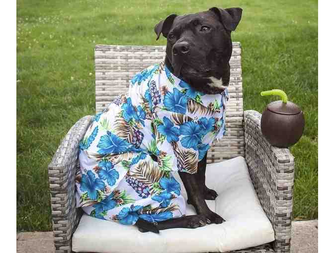 $50 Gift Card for Khloella's Garden