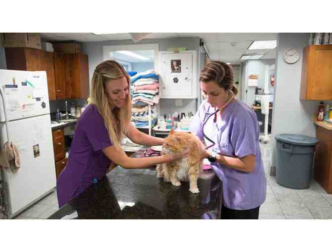 $100 Gift Certificate for Veterinary Services for At Home Animal Hospital