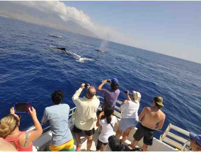 Whale Watching for Two (2) People with Makai Adventures