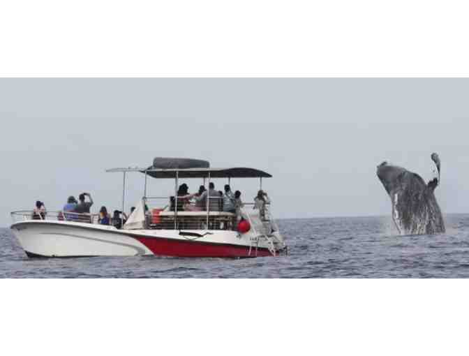 Whale Watching for Two (2) People with Makai Adventures - Photo 2