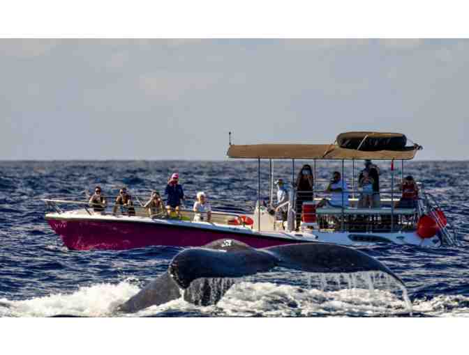 Two (2) Seats on Whale Watch with Maui Ocean Adventures