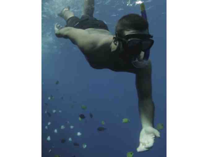 Lanai Snorkel Trip for Two (2) with Ultimate Whale Watch & Snorkel