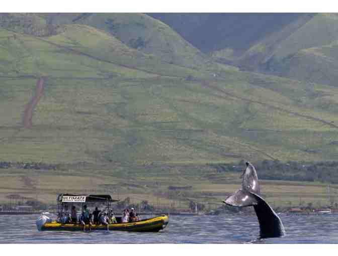 Lanai Snorkel Trip for Two (2) with Ultimate Whale Watch & Snorkel
